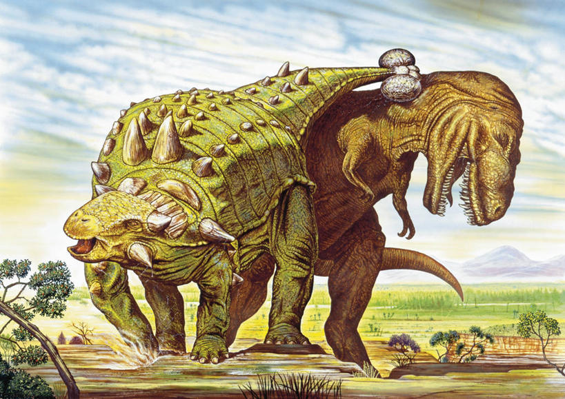 无人,横图,室外,白天,野生动物,捕食,自然,动物,两只,恐龙,环境,锋利,尖锐,打斗,进攻,生存,霸王龙,古代史,地质学,史前时代,彩图,包头龙,白垩系,过去,古生物学