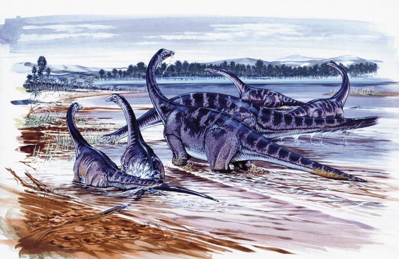 无人,横图,室外,白天,湖,野生动物,地平线,海岸线,辽阔,地面,自然,动物,广阔,恐龙,一望无际,环境,延伸,天地相交,无边无际,一马平川,侏罗纪,古代史,地质学,史前时代,彩图,过去,古生物学