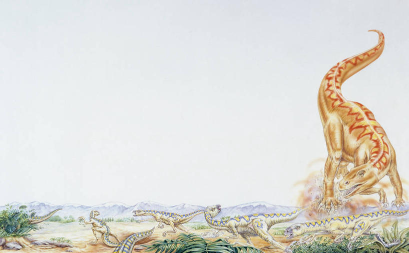 无人,横图,室外,白天,留白,野生动物,捕食,天空,自然,动物,恐龙,环境,威胁,进攻,万里无云,斑龙,侏罗纪,古代史,地质学,史前时代,危险,彩图,过去,古生物学