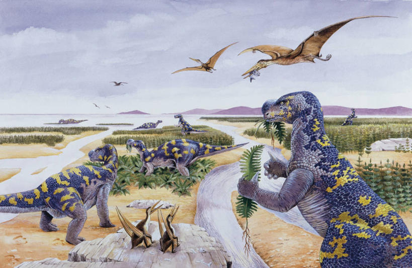 无人,横图,室外,白天,海洋,河流,山,水,野生动物,叶子,流水,飞,自然,动物,恐龙,环境,喂养,三角洲,古代史,地质学,史前时代,自然地理,彩图,白垩系,过去,古生物学