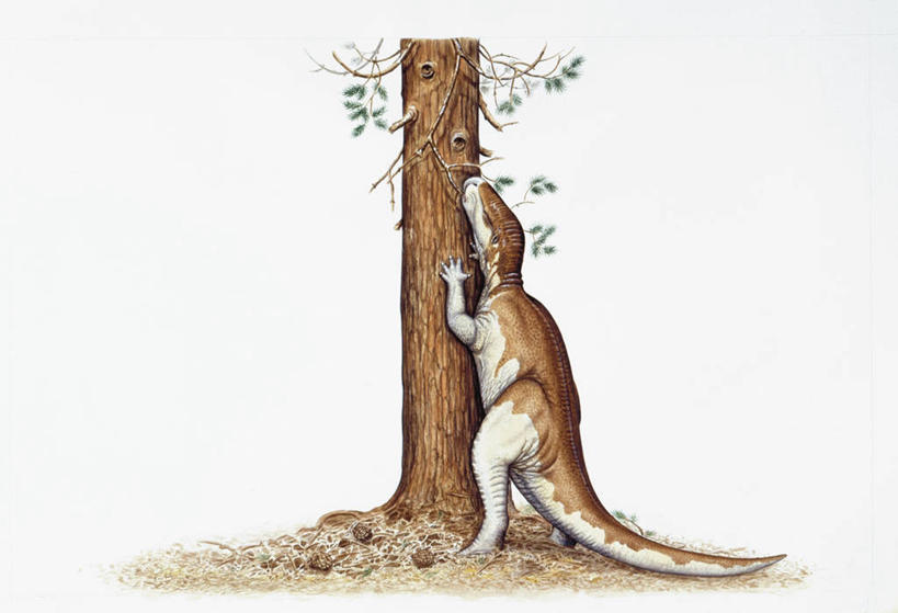 无人,横图,白色背景,野生动物,叶子,树干,白色,自然,动物,恐龙,食草动物,环境,偶蹄目,侏罗纪,古代史,地质学,史前时代,彩图,白垩系,过去,古生物学