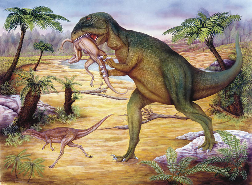 无人,横图,插画,室外,白天,数码,科技,植物,棕榈树,野生动物,叶子,三只,对抗,咬,阴影,冲突,网络,捕食,绿叶,高光,几何,计算机图形,合成,图画,历史,画,树,树木,绿色,自然,动物,嫩叶,恐龙,生长,成长,环境,电脑合成图,数码合成图,咬着,暴力,合成图,进攻,漫画,棕榈叶,写实,具体,具象,异特龙,侏罗纪,古代史,地质学,史前时代,叶,叶片,棕树,棕榈,彩图,食物链,中生代,过去,古生物学