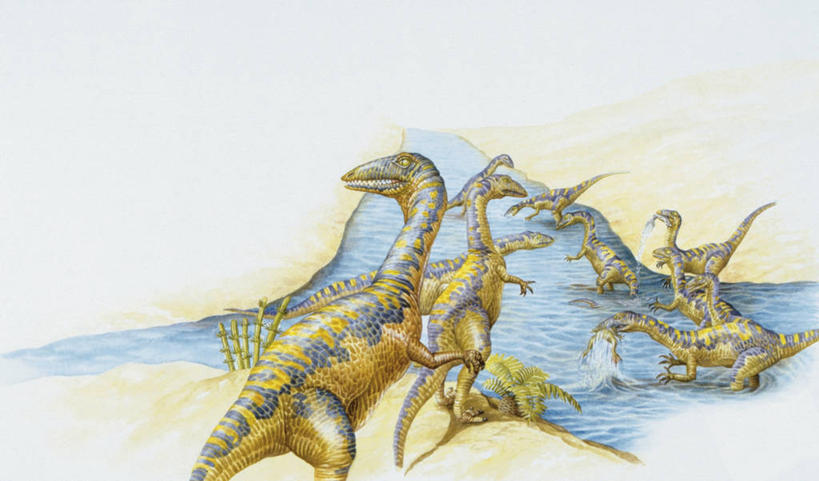 无人,横图,插画,室外,白天,数码,科技,河流,野生动物,涉水,阴影,网络,捕食,流水,高光,几何,计算机图形,合成,图画,历史,鱼类,画,自然,动物,恐龙,食草动物,环境,电脑合成图,数码合成图,接,合成图,漫画,远古,偶蹄目,写实,具体,具象,三叠纪,古代史,地质学,史前时代,彩图,年代,地质年代,地质时代,时代,显生宙,中生代,过去,古生物学