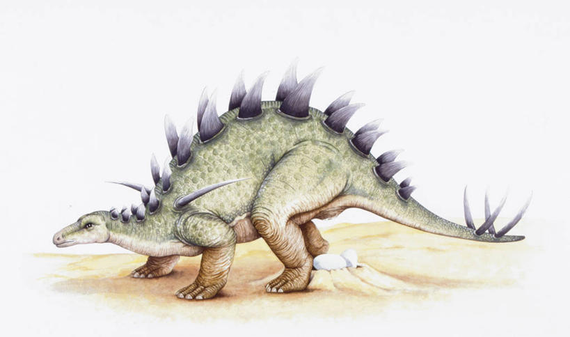 无人,站,横图,插画,侧面,数码,科技,野生动物,阴影,网络,高光,几何,计算机图形,合成,图画,历史,画,自然,动物,恐龙,环境,电脑合成图,数码合成图,锋利,尖锐,合成图,漫画,写实,具体,具象,卵,侏罗纪,古代史,地质学,产卵,史前时代,彩图,中生代,过去,古生物学