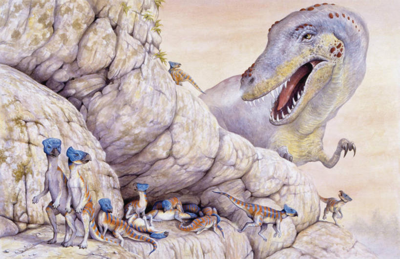 无人,横图,插画,室外,白天,数码,科技,野生动物,对抗,阴影,冲突,网络,捕食,悬崖,高光,几何,计算机图形,合成,图画,历史,画,自然,动物,恐龙,环境,电脑合成图,数码合成图,暴力,合成图,显现,进攻,漫画,写实,具体,具象,埋伏,古代史,地质学,史前时代,岩石,彩图,中生代,白垩系,过去,古生物学,壁架