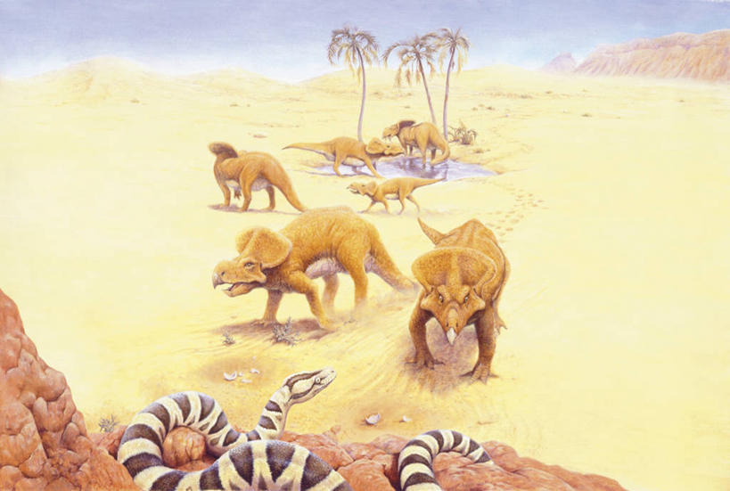 无人,横图,插画,室外,白天,数码,科技,沙漠,植物,棕榈树,野生动物,叶子,对抗,阴影,网络,蛇,沙子,绿叶,高光,几何,计算机图形,合成,图画,历史,画,树,树木,绿色,自然,动物,嫩叶,恐龙,生长,成长,环境,电脑合成图,数码合成图,合成图,漫画,棕榈叶,写实,具体,具象,原角龙,古代史,地质学,史前时代,叶,叶片,棕树,棕榈,彩图,中生代,好奇心,白垩系,过去,古生物学