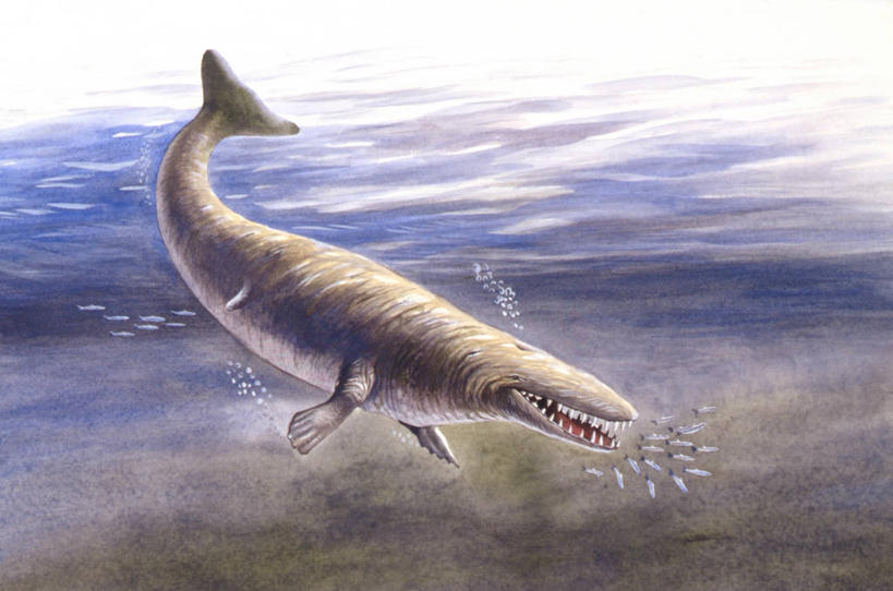 游泳,无人,横图,插画,室外,白天,数码,科技,海洋,哺乳动物,野生动物,追赶,阴影,网络,鱼群,高光,几何,计算机图形,合成,图画,历史,鱼类,画,自然,动物,环境,电脑合成图,数码合成图,合成图,漫画,比例,写实,具体,具象,鲸类,古代史,地质学,史前时代,彩图,食物链,过去,古生物学