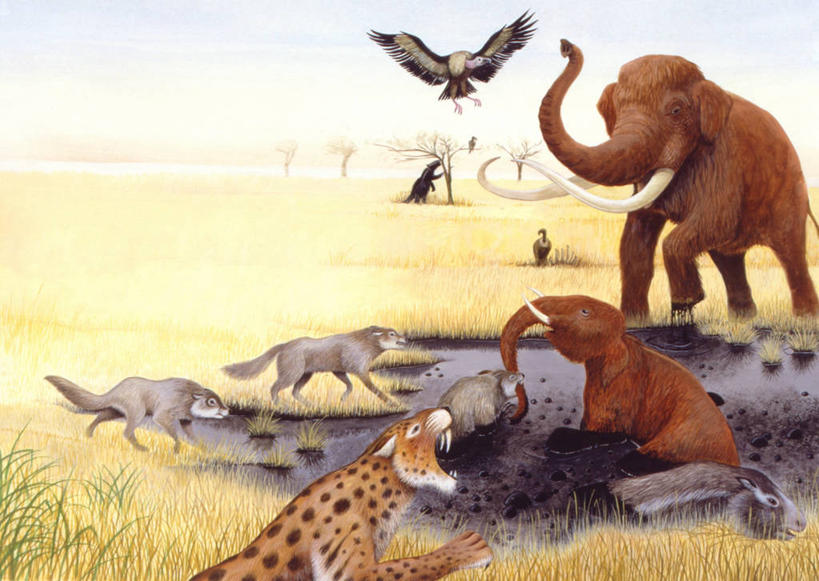 无人,横图,插画,室外,白天,数码,科技,草原,哺乳动物,野生动物,对抗,喝,咆哮,咬,阴影,冲突,网络,鸟类,泥土,自然灾害,天气,高光,几何,计算机图形,合成,图画,历史,画,自然,动物,环境,电脑合成图,数码合成图,咬着,泥,暴力,干旱,合成图,进攻,漫画,写实,具体,具象,猛犸,古代史,地质学,史前时代,彩图,过去,古生物学