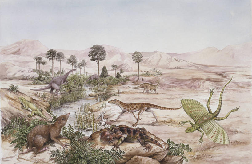 无人,横图,插画,室外,白天,数码,科技,河流,山,植物,野生动物,阴影,网络,地平线,流水,辽阔,地面,高光,几何,计算机图形,合成,图画,历史,画,自然,动物,广阔,恐龙,一望无际,环境,电脑合成图,数码合成图,合成图,延伸,漫画,远古,天地相交,写实,具体,具象,无边无际,一马平川,三叠纪,古代史,地质学,史前时代,彩图,年代,地质年代,地质时代,时代,显生宙,中生代,过去,古生物学