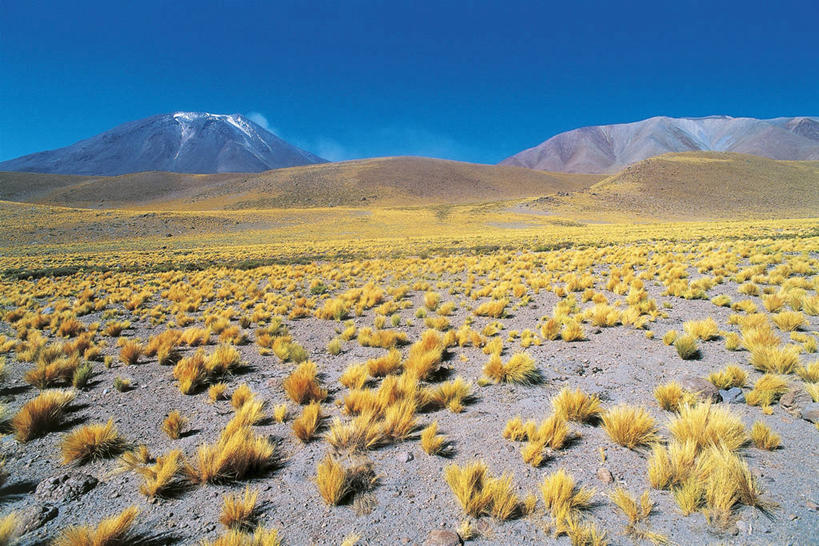 无人,横图,室外,白天,旅游,度假,草原,火山,美景,沙漠,山,智利,地形,景观,娱乐,草,自然,平原,享受,休闲,景色,南美,放松,摄影,灌木,南美洲,气候,拉丁美洲,自然风光,美洲,干的,亚美利加洲,南亚美利加洲,智利共和国,地质学,安托法加斯塔大区,自然地理,活火山,彩图,火山学