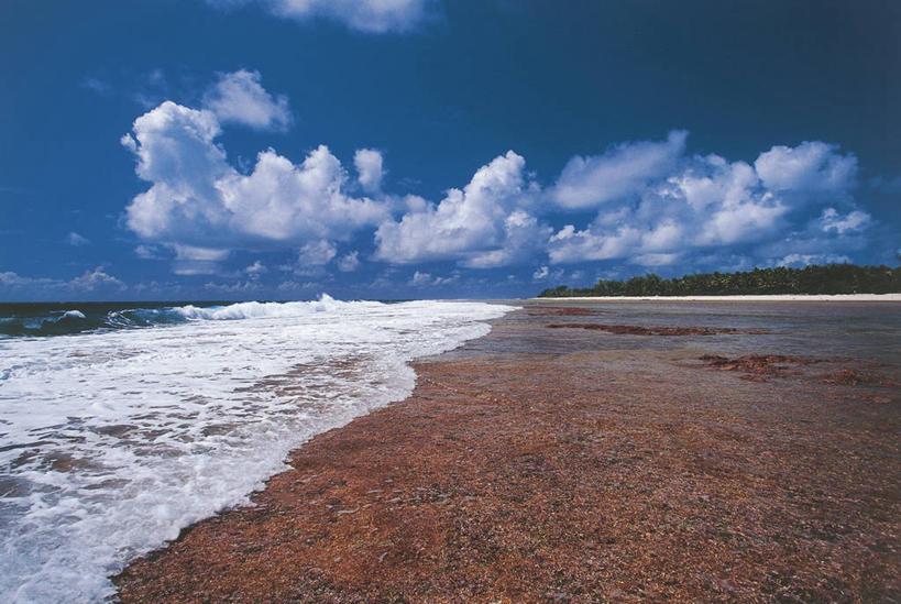 无人,横图,室外,白天,海浪,海洋,水,地平线,水平线,云,风景,天空,自然,波浪,摄影,退潮,环境,大洋洲,法属波利尼西亚,法属玻利尼西亚,土阿莫土群岛,潮汐,海滩,群岛,彩图,法国海外领土