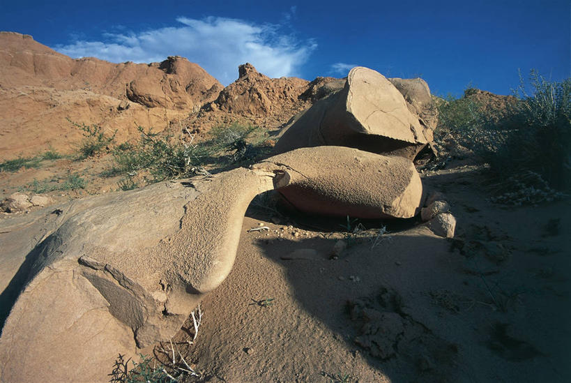 无人,横图,室外,白天,旅游,度假,美景,沙漠,蒙古,化石,地形,景观,骨头,历史,娱乐,自然,动物,享受,休闲,景色,放松,摄影,恐龙,气候,岩层,自然风光,东亚,戈壁滩,古代史,地质学,史前时代,自然地理,岩石,彩图,古生物学