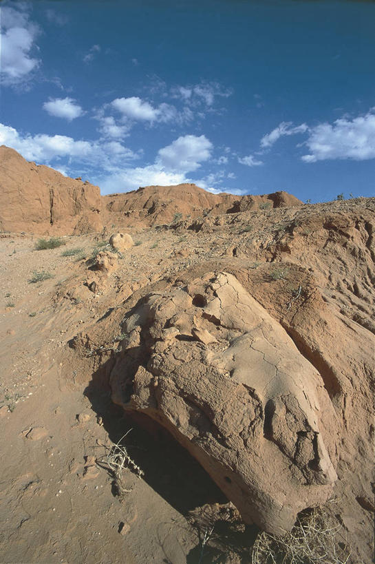 无人,横图,竖图,室外,白天,旅游,度假,美景,沙漠,蒙古,化石,沙子,地平线,地形,景观,云,辽阔,骨头,地面,历史,娱乐,天空,自然,动物,享受,休闲,广阔,景色,放松,摄影,恐龙,一望无际,气候,岩层,自然风光,延伸,东亚,戈壁滩,天地相交,无边无际,一马平川,古代史,地质学,史前时代,自然地理,岩石,彩图,古生物学