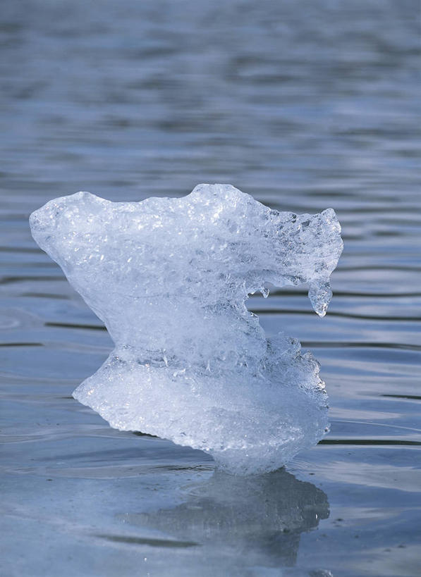 无人,公园,竖图,室外,白天,美国,漂浮,反射,冰,寒冷,摄影,北美,北美洲,国家公园,美洲,阿拉斯加,阿拉斯加州,北亚美利加洲,亚美利加洲,最后的边疆,午夜阳光之地,基奈峡湾国家公园,基奈半岛,苏厄德,自然地理,彩图,美利坚合众国,郊野公园