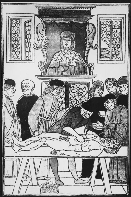 西方人,无人,学生,医生,竖图,黑白,室内,床,家具,欧洲,欧洲人,床单,被子,病床,看,教室,人体,摄影,观看,尸体,生物学,解剖,知识,被单,尸身,遗体,人体结构,白种人,护理床,医疗床,尸首,剖解,雕刻术,好奇心