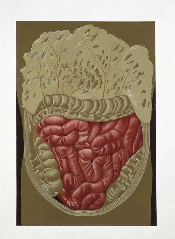 无人,竖图,插画,数码,科技,阴影,科学,网络,高光,几何,计算机图形,合成,图画,画,躯干,人体,电脑合成图,数码合成图,生物学,合成图,漫画,写实,具体,具象,肠道,消化道,吸收,消化管,人体结构,消化,排泄,摄取,彩图,消化腺,转运,消化系统