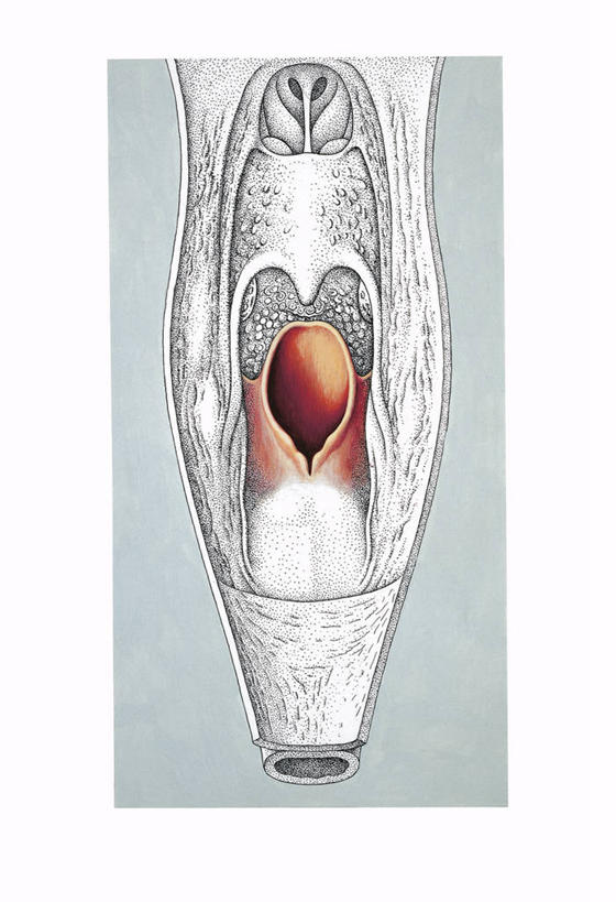 脖子,无人,竖图,插画,数码,科技,阴影,科学,网络,高光,几何,计算机图形,合成,图画,画,人体,电脑合成图,数码合成图,生物学,合成图,横截面,漫画,呼吸道,写实,具体,具象,呼吸系统,消化道,吸收,消化管,咽,人体结构,消化,排泄,摄取,彩图,消化腺,转运,消化系统