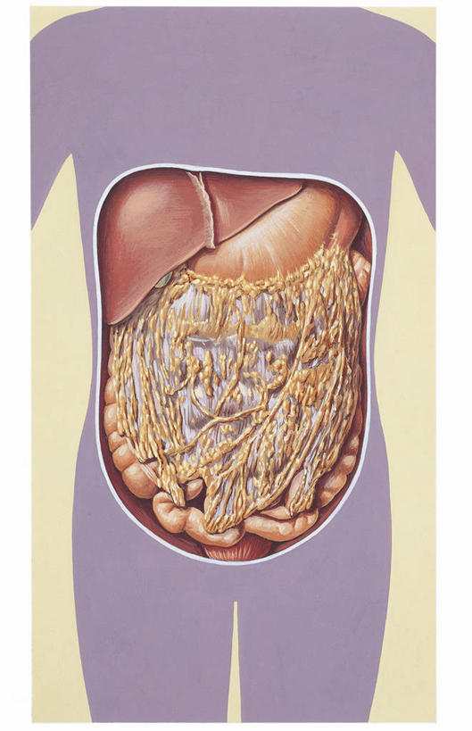 肝脏,无人,竖图,插画,数码,科技,阴影,科学,网络,图表,高光,几何,计算机图形,合成,图画,画,躯干,人体,电脑合成图,数码合成图,生物学,合成图,漫画,写实,具体,具象,肠道,消化道,吸收,消化管,人体结构,消化,排泄,摄取,彩图,消化腺,转运,消化系统