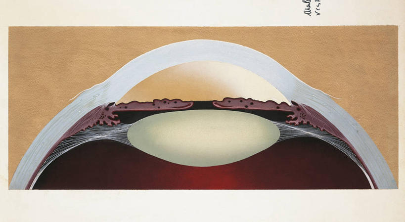 眼睛,虹膜,无人,横图,插画,正面,数码,科技,瞳孔,阴影,科学,网络,高光,几何,计算机图形,合成,图画,画,人体,眼部,电脑合成图,数码合成图,透镜,生物学,眼球,合成图,横截面,漫画,写实,具体,具象,角膜,人体结构,眼,彩图,光学仪器