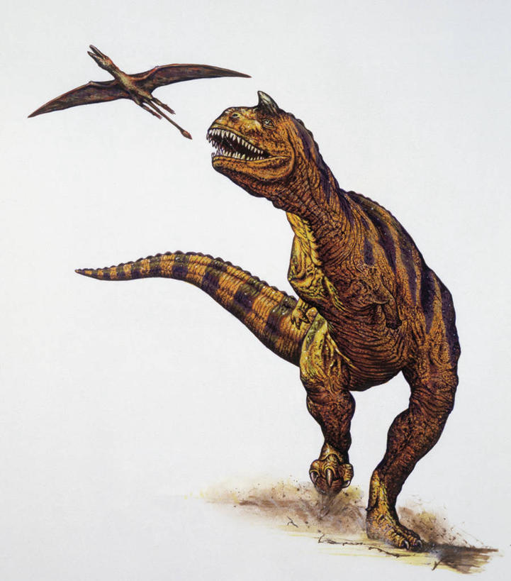 无人,跑,横图,竖图,白色背景,野生动物,捕食,飞,白色,自然,动物,两只,恐龙,环境,食肉牛龙,古代史,地质学,史前时代,彩图,白垩系,过去,古生物学