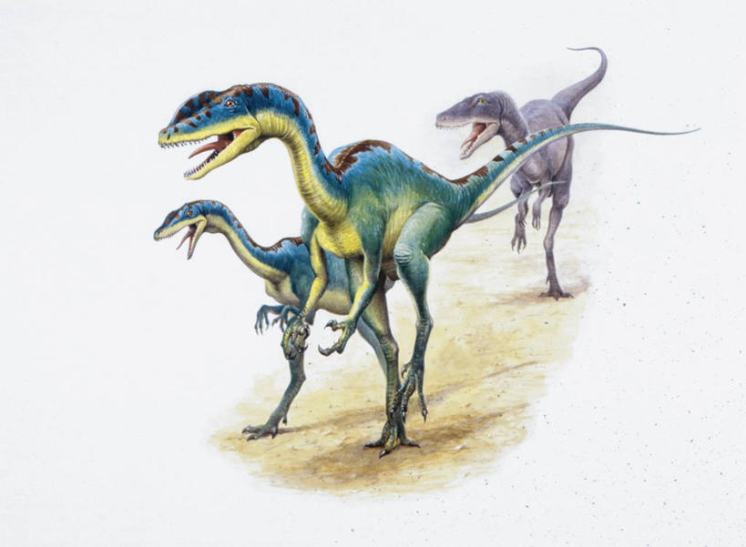 无人,横图,插画,白色背景,数码,科技,野生动物,三只,阴影,冲突,网络,捕食,高光,几何,计算机图形,合成,图画,历史,画,白色,动物,恐龙,电脑合成图,数码合成图,合成图,漫画,远古,写实,具体,具象,三叠纪,古代史,地质学,史前时代,彩图,年代,地质年代,地质时代,时代,显生宙,中生代,理理恩龙,过去,古生物学