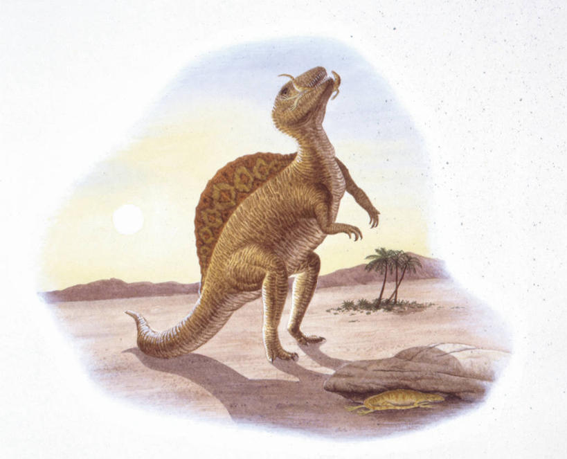 无人,站,吃,横图,插画,室外,白天,数码,科技,野生动物,阴影,网络,捕食,高光,几何,计算机图形,合成,图画,历史,画,自然,动物,两只,恐龙,环境,电脑合成图,数码合成图,合成图,漫画,写实,具体,具象,古代史,地质学,史前时代,仰头,彩图,食物链,中生代,白垩系,过去,古生物学