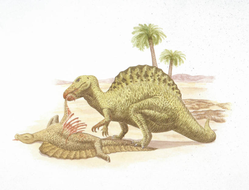 无人,吃,横图,插画,室外,白天,数码,科技,野生动物,阴影,网络,高光,几何,计算机图形,合成,图画,历史,画,自然,动物,两只,恐龙,环境,电脑合成图,数码合成图,合成图,漫画,写实,具体,具象,古代史,地质学,史前时代,彩图,食物链,中生代,白垩系,过去,古生物学