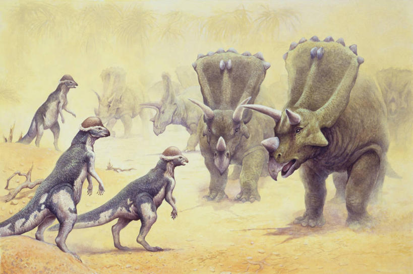 无人,站,横图,插画,室外,白天,数码,科技,暴风雨,雾,沙尘暴,野生动物,对抗,阴影,网络,沙子,泥土,高光,几何,计算机图形,合成,图画,历史,画,自然,动物,恐龙,环境,电脑合成图,数码合成图,合成图,漫画,写实,具体,具象,古代史,地质学,史前时代,彩图,中生代,过去,古生物学