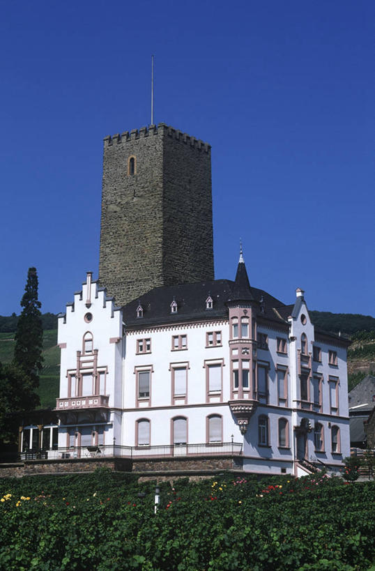 无人,竖图,室外,白天,旅游,度假,农业,农作物,河流,美景,建筑,德国,城堡,景观,田地,塔,历史,娱乐,葡萄园,蓝色,风景,天空,自然,享受,休闲,景色,放松,摄影,自然风光,德国文化,欧洲文化,中欧,万里无云,黑森州,莱茵河,吕德斯海姆,彩图,旅行,莱茵高