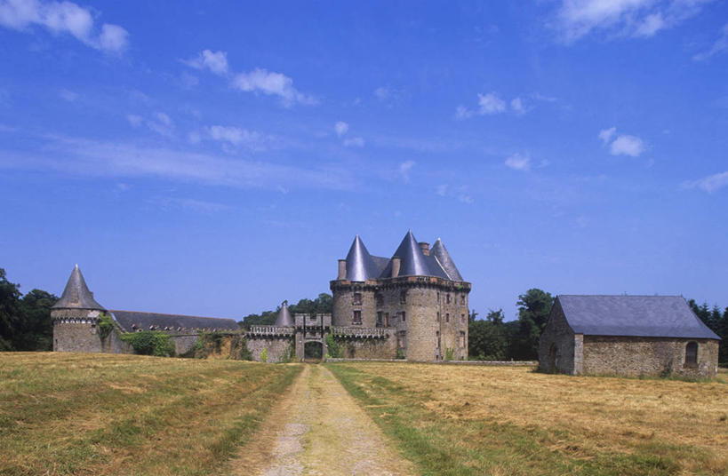 无人,横图,室外,白天,旅游,度假,美景,建筑,法国,欧洲,城堡,景观,田地,纪念碑,塔,历史,娱乐,废墟,树,自然,享受,休闲,景色,放松,摄影,布列塔尼,西欧,要塞,法兰西,自然风光,中欧,法兰西共和国,法兰西第五共和国,布列塔尼半岛,古代文明,布列塔尼地区,伊勒.维莱讷省,彩图