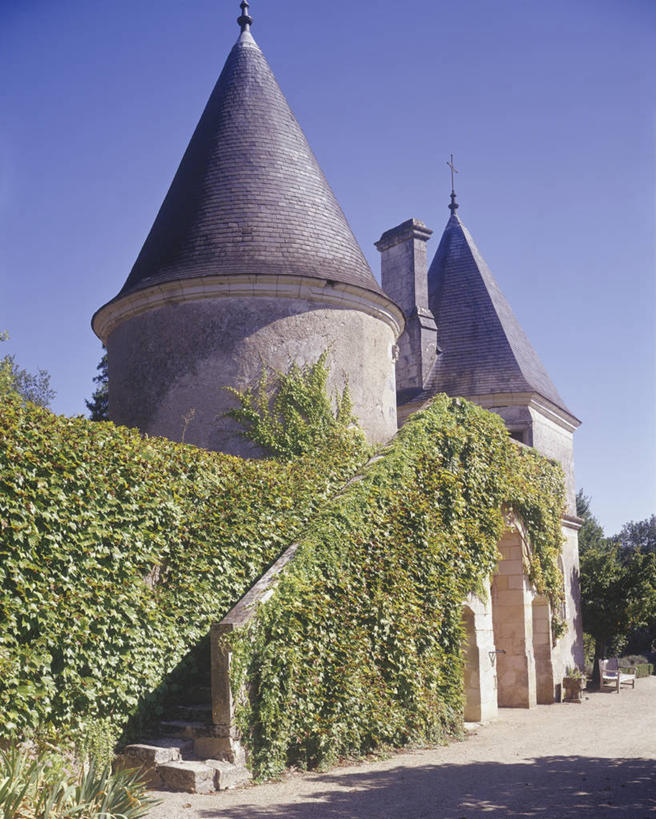 无人,竖图,室外,白天,建筑,叶子,法国,欧洲,常春藤,历史,摄影,生长,西欧,法兰西,中欧,法兰西共和国,法兰西第五共和国,安德尔.卢瓦尔省,中央大区,彩图,旅行