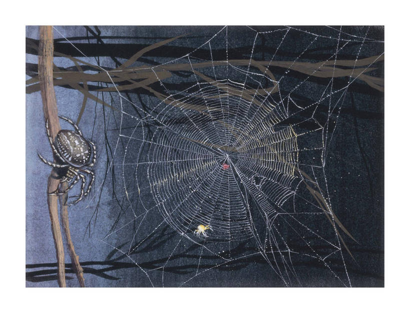 无人,横图,插画,室外,白天,数码,科技,野生动物,阴影,科学,网络,蜘蛛,蜘蛛网,高光,几何,计算机图形,合成,图画,画,自然,动物,环境,电脑合成图,数码合成图,生物学,合成图,节肢动物,漫画,花园蜘蛛,写实,具体,具象,彩图,动物学