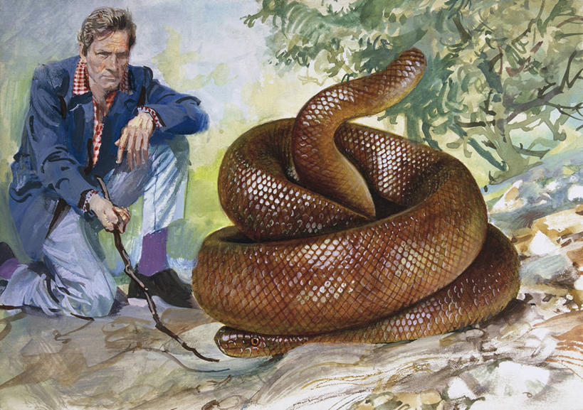 一个人,蹲,横图,插画,室外,白天,数码,科技,野生动物,阴影,科学,网络,蟒蛇,爬行动物,蛇,标志,符号,高光,几何,计算机图形,合成,图画,休闲装,标识,画,衣服,自然,动物,观看,环境,电脑合成图,数码合成图,生物学,合成图,冷血动物,凶猛,脊椎动物,长虫,漫画,写实,具体,具象,性别符号,残暴,凶残,彩图,男性符号,冷血,动物学