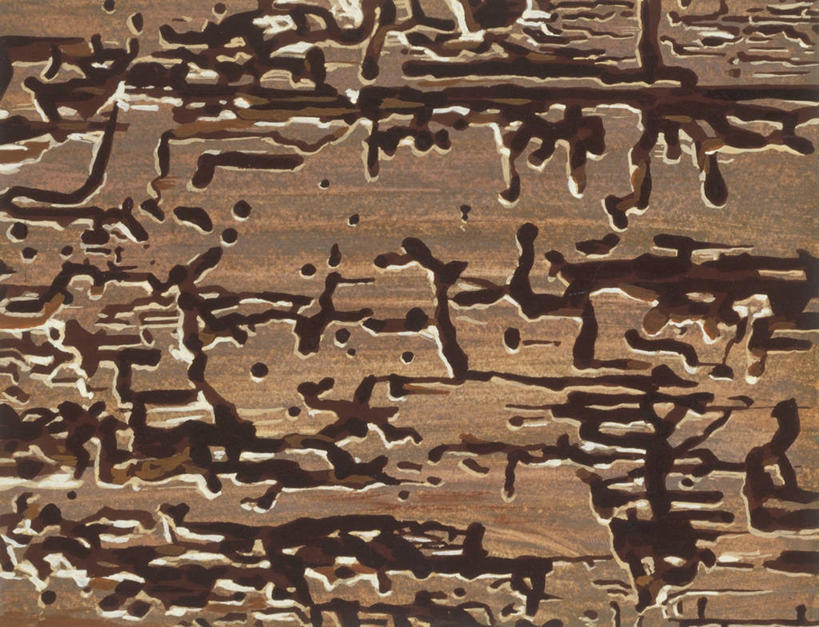 无人,横图,插画,数码,科技,微生物,阴影,科学,隧道,网络,木制,昆虫,高光,几何,计算机图形,合成,图画,画,自然,环境,电脑合成图,数码合成图,生物学,合成图,横截面,节肢动物,幼虫,漫画,写实,具体,具象,原生动物,彩图,动物学