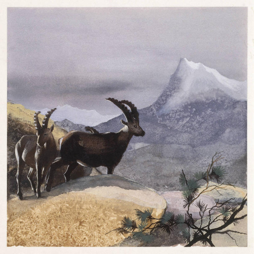 无人,竖图,方图,插画,室外,白天,数码,科技,山,哺乳动物,野生动物,羊,阴影,科学,网络,高光,几何,计算机图形,合成,图画,画,树,自然,动物,两只,可爱,活泼,环境,电脑合成图,数码合成图,生物学,合成图,漫画,偶蹄目,野山羊,写实,具体,具象,摩羯座,悬羊,山羊,步行,彩图,西伯利亚北山羊,动物学