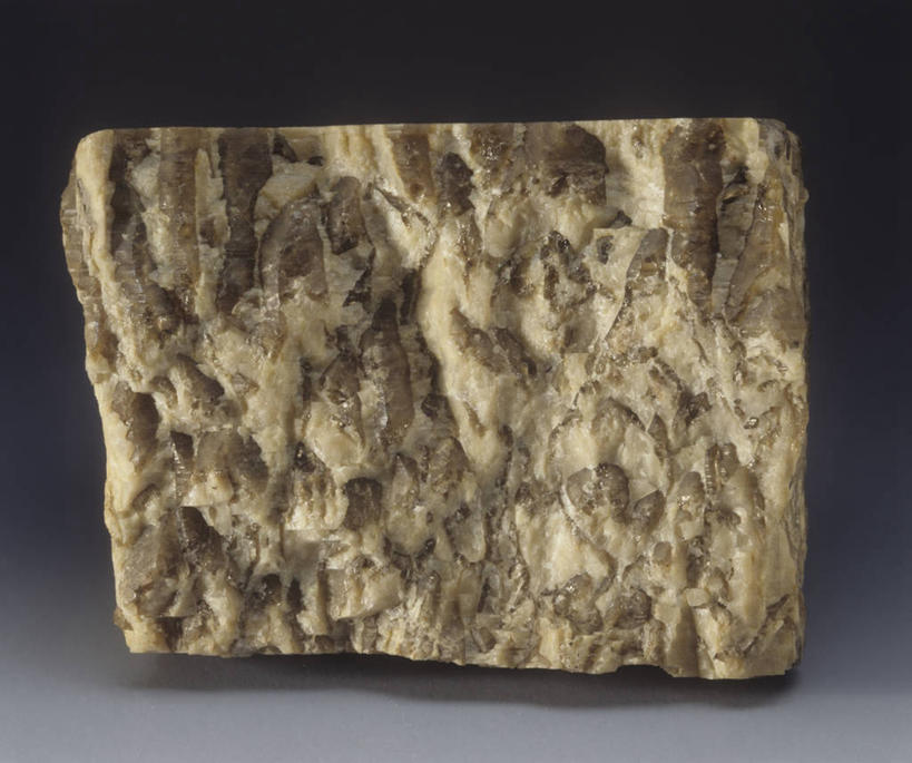 无人,横图,室内,石头,粗糙,石子,一个,灰色,自然,摄影,单个,花岗岩,环境,毛糙,肌理,火成岩,岩浆岩,地质学,矿物质,自然地理,石块,岩石,彩图,影棚拍摄,粗拙