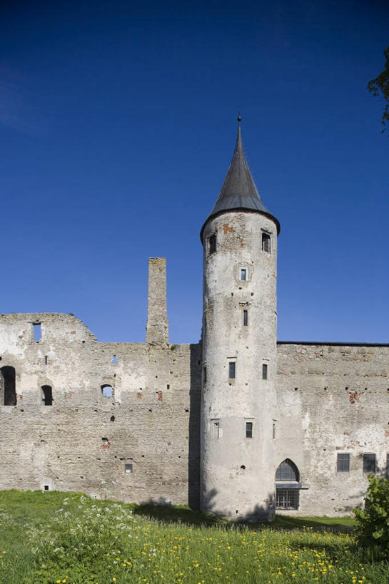 无人,竖图,室外,白天,建筑,爱沙尼亚,城堡,塔,历史,废墟,天空,摄影,万里无云,彩图,旅行,波罗的海三国