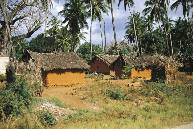 无人,横图,室外,白天,棕榈树,非洲,肯尼亚,乡村,树,摄影,气候,将军,东非,马林迪,自然地理,彩图,小屋