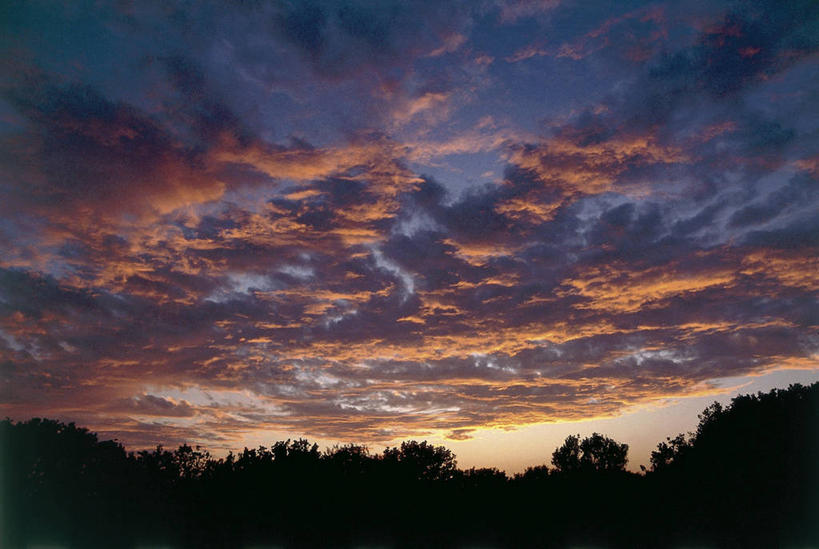 无人,公园,横图,室外,旅游,度假,美景,日落,美国,景观,联合国,娱乐,树,风景,天空,自然,黄昏,享受,休闲,景色,放松,摄影,北美,北美洲,国家公园,自然风光,美洲,剪影,佛罗里达,佛罗里达州,佛州,阳光州,北亚美利加洲,亚美利加洲,埃弗格莱兹国家公园,大沼泽国家公园,大沼泽地国家公园,彩图,旅行,美利坚合众国,联合国教科文组织,郊野公园