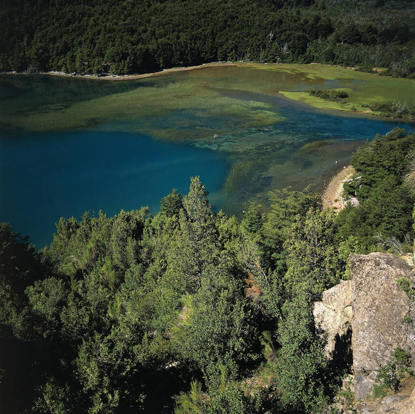 无人,横图,方图,俯视,室外,白天,湖,美景,森林,阿根廷,地形,景观,风景,自然,景色,南美,摄影,环境,国家公园,岩层,自然风光,巴塔哥尼亚,岩石,彩图,高角度拍摄,郊野公园