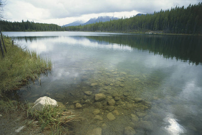 无人,横图,室外,白天,湖,森林,山脉,加拿大,地形,联合国,树,自然,摄影,宁静,环境,国家公园,班夫国家公园,洛矶山脉,自然地理,彩图,弓湖,联合国教科文组织,郊野公园