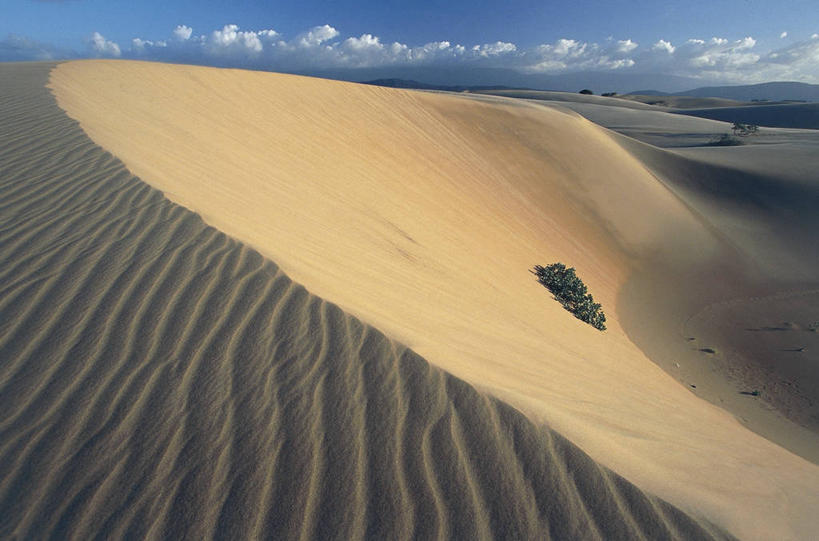 无人,横图,室外,白天,美景,沙漠,委内瑞拉,沙子,地形,景观,沙丘,风景,自然,景色,南美,摄影,气候,国家公园,自然风光,式样,法尔孔州,自然地理,彩图,旅行,郊野公园