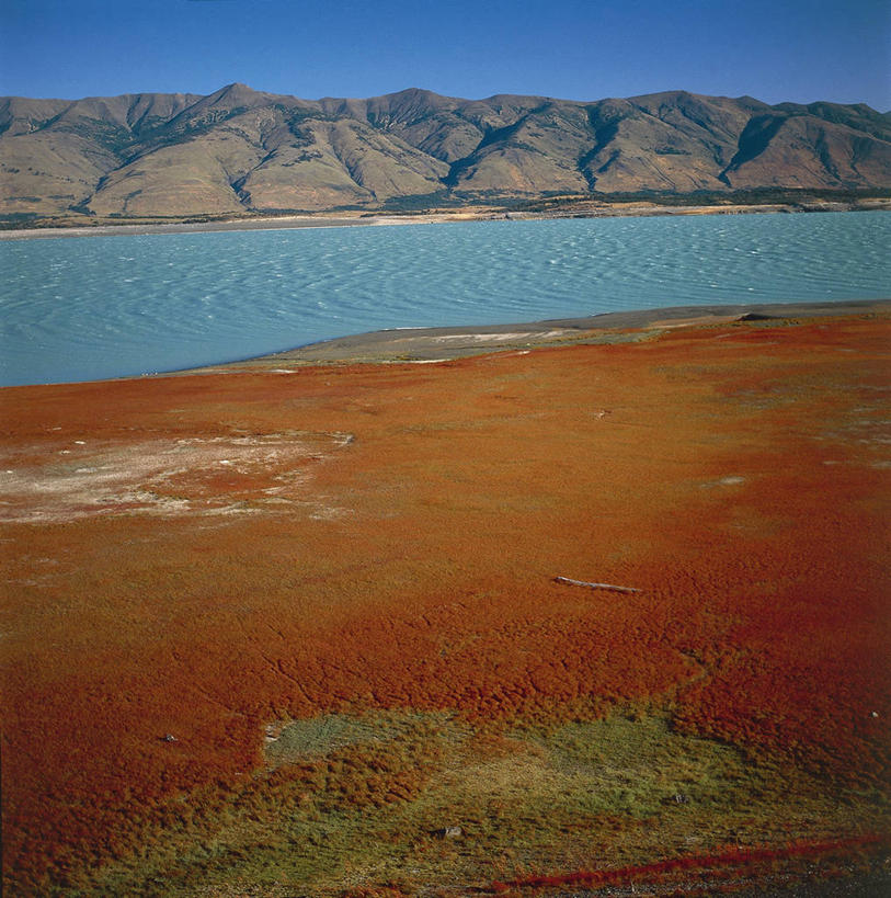 无人,竖图,方图,室外,白天,湖,山,山脉,阿根廷,地平线,地形,辽阔,地面,风景,自然,地标建筑,广阔,南美,摄影,宁静,一望无际,环境,国家公园,延伸,天地相交,巴塔哥尼亚,无边无际,一马平川,自然地理,彩图,阿根廷湖,郊野公园