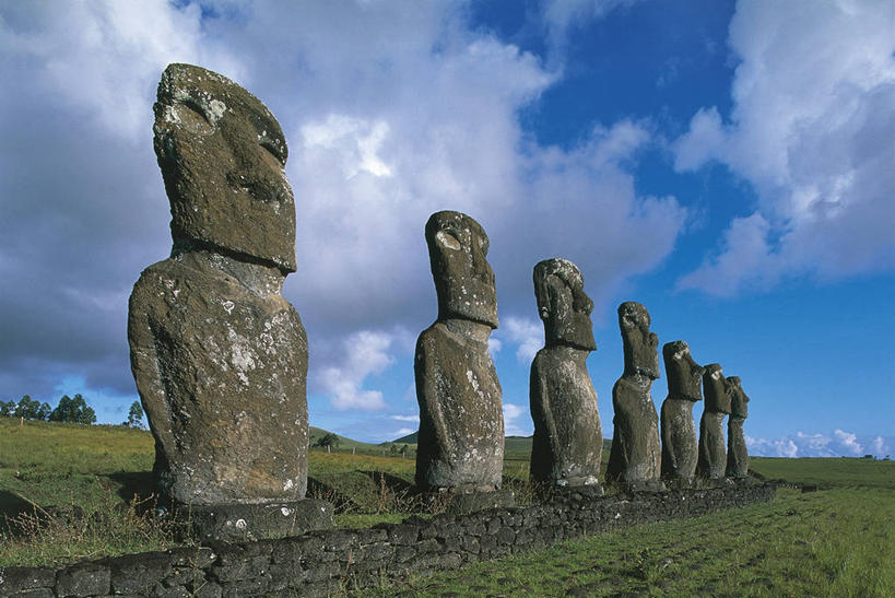 无人,横图,室外,白天,雕塑,复活节岛,智利,一排,整齐,标志,符号,田地,联合国,宏伟,历史,标识,树,排列,地标建筑,南美,摄影,南美洲,国家公园,拉丁美洲,队列,美洲,复活节岛石像,波利尼西亚,摩艾石像,亚美利加洲,南亚美利加洲,复活岛,智利共和国,性别符号,古代文明,摩艾像,灵性,拉帕努伊国家公园,美术工艺,波利尼西亚群岛,彩图,旅行,复活节岛人像,赫布亚岛,拉帕努伊岛,毛埃石像,摩阿仪,摩埃石像,莫阿伊,帕赛兰,伊斯特岛,男性符号,联合国教科文组织,拟人,郊野公园
