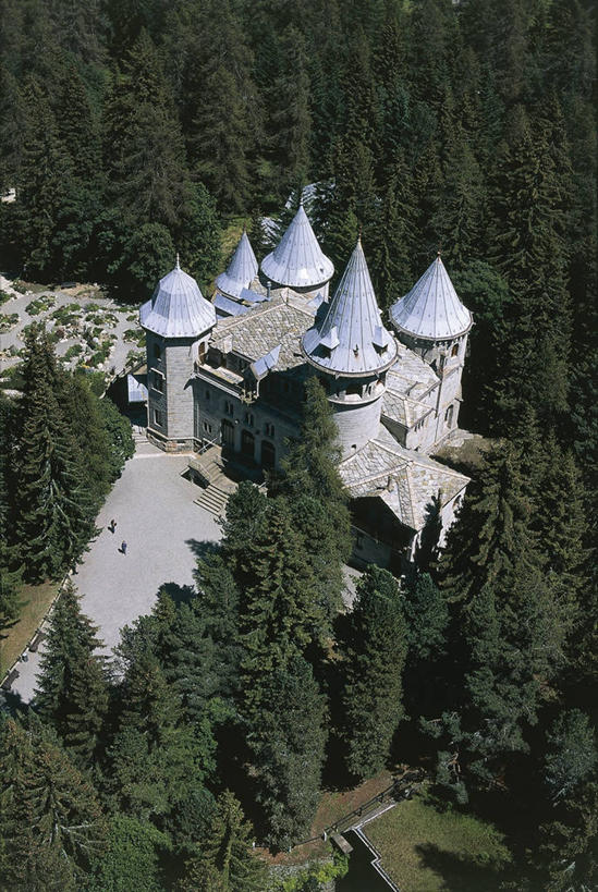 无人,竖图,俯视,航拍,室外,白天,森林,建筑,意大利,城堡,历史,树,摄影,鸟瞰,意大利文化,萨瓦,彩图,高角度拍摄