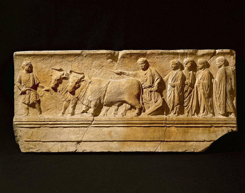 无人,横图,雕塑,准备,黑色背景,历史,一个,摄影,单个,粉底,古代文明,开端,彩图,影棚拍摄,家牛,减轻