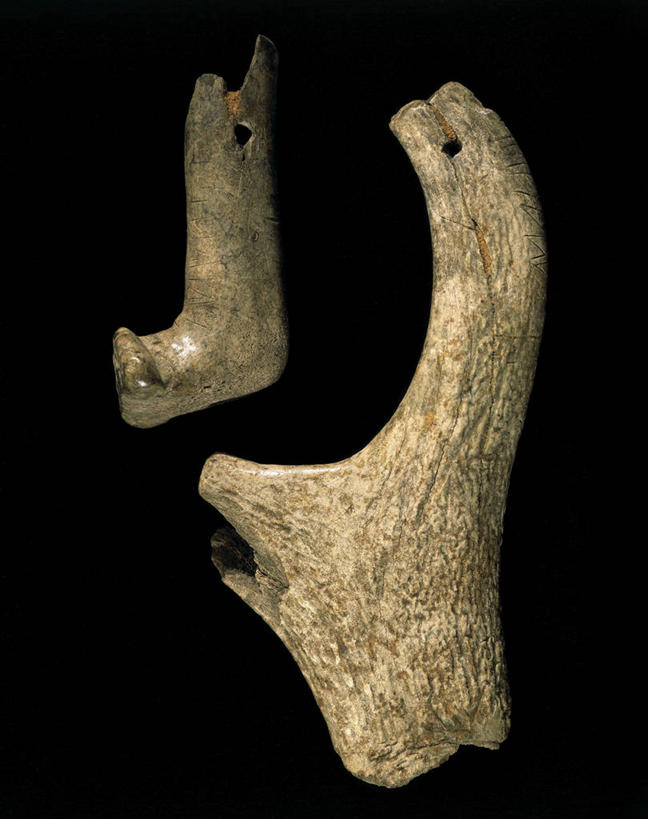 点心,面包,无人,竖图,特写,意大利,切开,黑色背景,工具,食品,面点,历史,吐司,食物,糕点,切,摄影,法式面包,剖面,吐司面包,切面,维罗纳,史前时代,彩图,影棚拍摄,多士,听型面包,古生物学