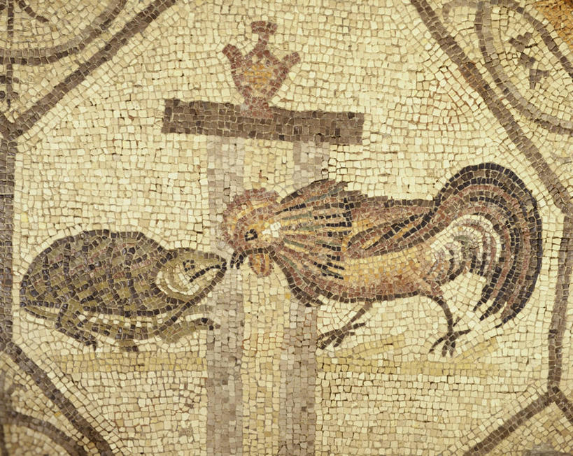 无人,教堂,横图,室内,特写,龟,意大利,欧洲,花纹,冲突,图案,摄影,南欧,打斗,挑战,意大利共和国,肌理,美术工艺,弗留利.威尼斯朱利亚,弗留利.威尼斯朱利亚大区,彩图,联合国教科文组织,乌迪内