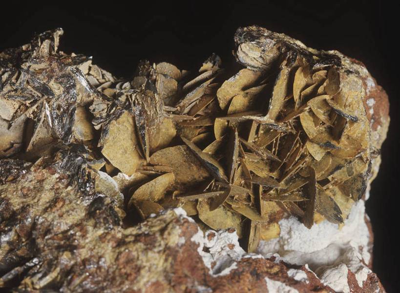 无人,横图,特写,黑色背景,粗糙,褐色,自然,摄影,毛糙,地质学,矿物质,岩石,彩图,影棚拍摄,粗拙