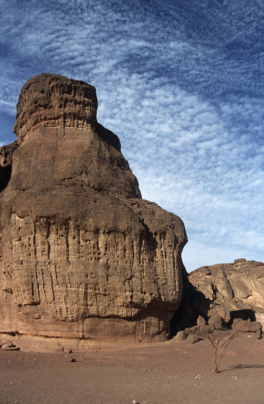 无人,竖图,室外,白天,旅游,度假,时尚,美景,沙漠,以色列,亚洲,地形,景观,娱乐,风景,自然,享受,休闲,t台,景色,放松,摄影,环境,国家公园,中东,岩层,自然风光,将军,沉积岩,内盖夫,沙岩,时装表演,时装秀,t型台,走秀,岩石,彩图,郊野公园